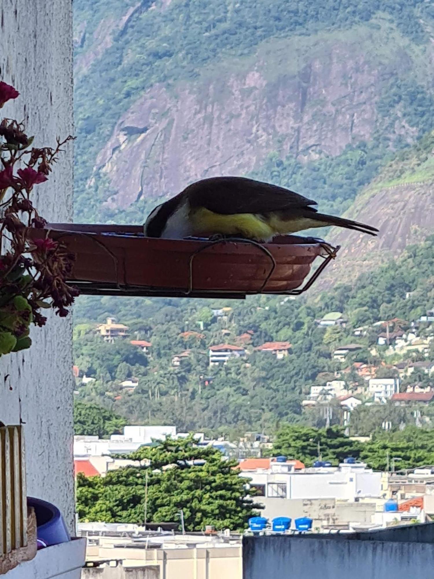 Apto Barra Da Tijuca Frente Pro Mar ريو دي جانيرو المظهر الخارجي الصورة